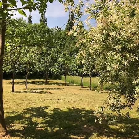 Slap Na Kupi Chalet Severin na Kupi